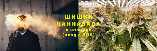 молекула духа Домодедово